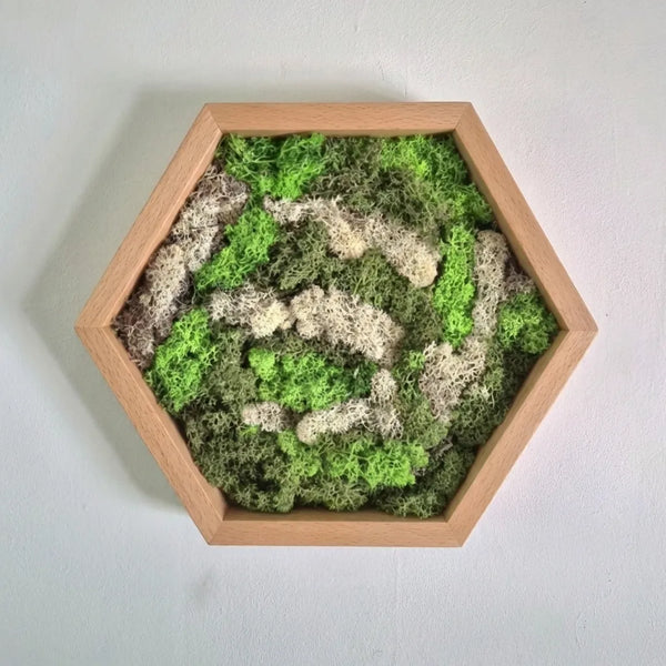 Houten hexagon - Moswand - Houten wanddecoratie