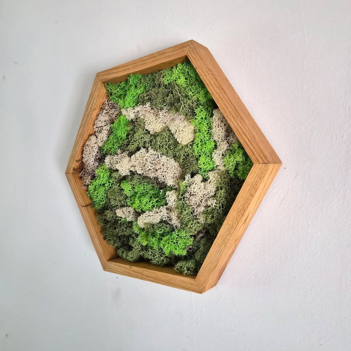 Houten hexagon - Moswand - Houten wanddecoratie