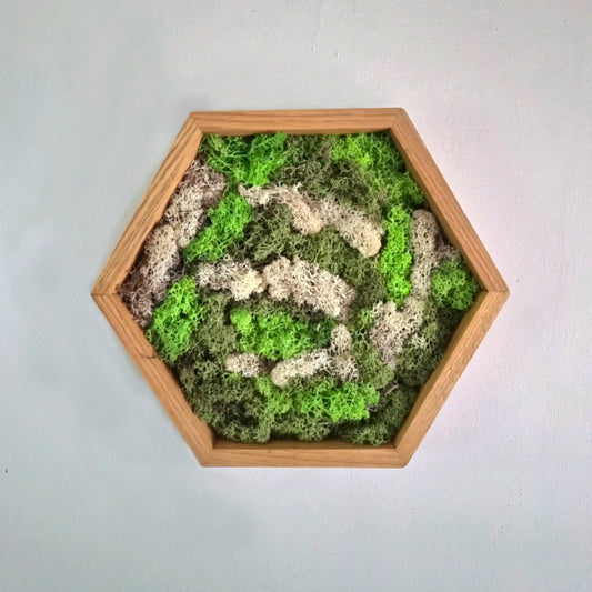 Houten hexagon - Moswand - Houten wanddecoratie