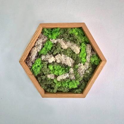 Eikenhout Hexagon - Moswand [Combi deal]