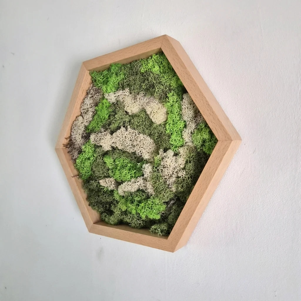 Houten hexagon - Moswand - Houten wanddecoratie