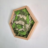 Houten hexagon - Moswand - Houten wanddecoratie