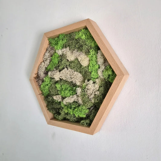 Toys for Life | Hexagon natuur kopen? | Heutink voor thuis Toys for Life | Hexagon natuur kopen? | Heutink voor thuis
